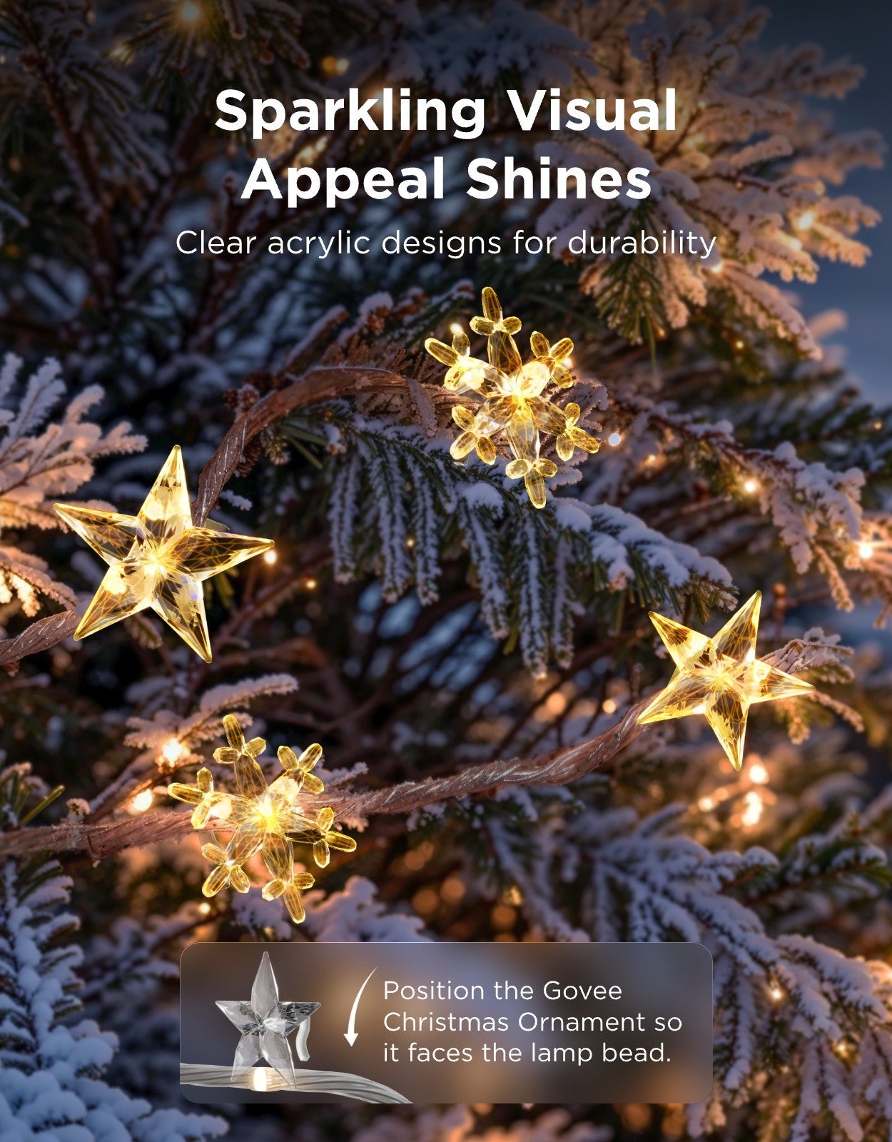 Govee Christmas String Lights 2