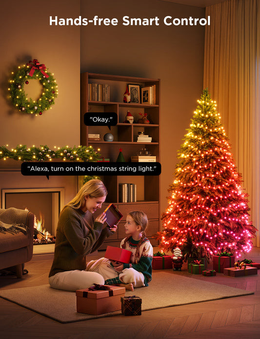 Govee Christmas String Lights 2