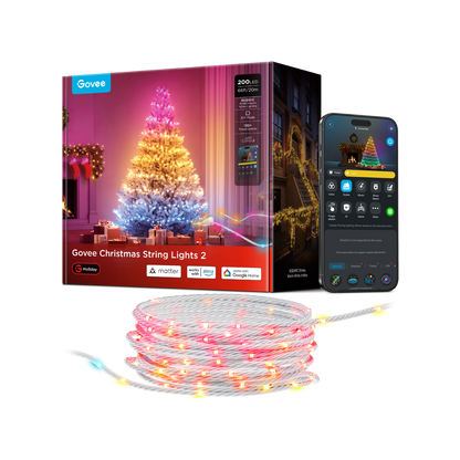 Govee Christmas String Lights 2