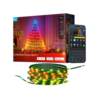 Govee Christmas String Lights 2