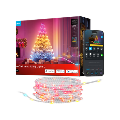 Govee Christmas String Lights 2