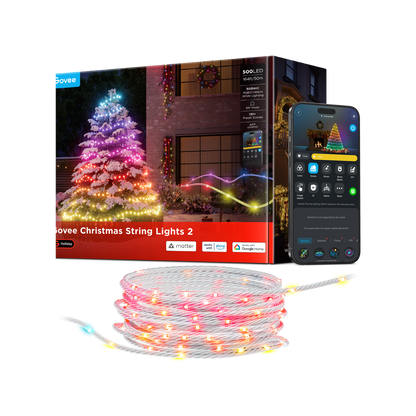 Govee Christmas String Lights 2