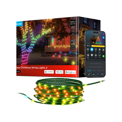 Govee Christmas String Lights 2