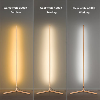 RGB Floor Lamp – Golden Corner LED Color Lamp With Remote Control & Dimmable Light
