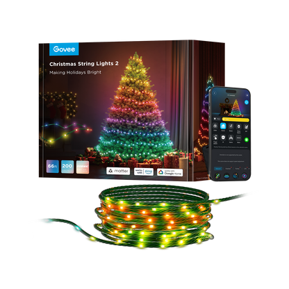 Govee Christmas String Lights 2