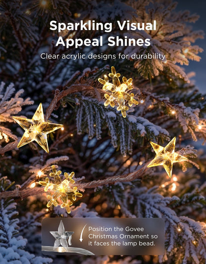 Govee Christmas String Lights 2