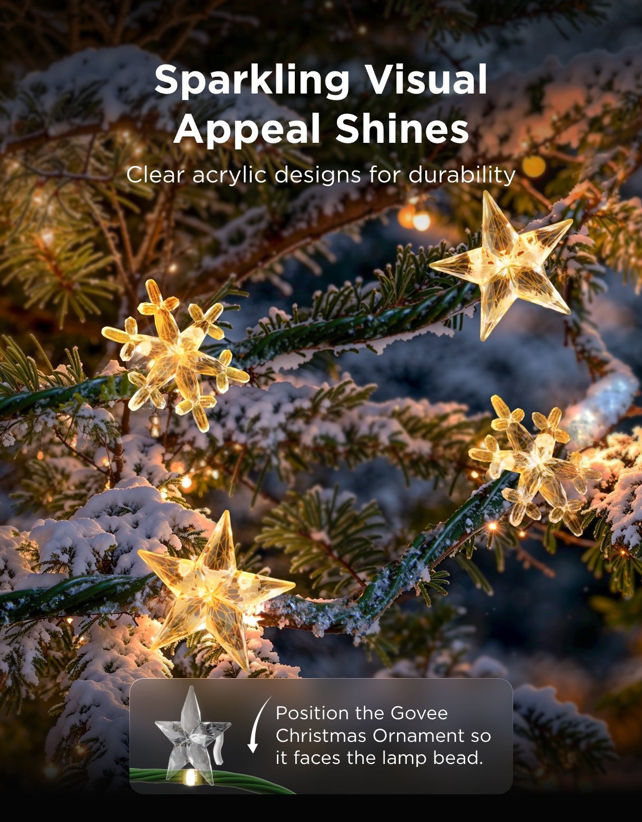 Govee Christmas String Lights 2