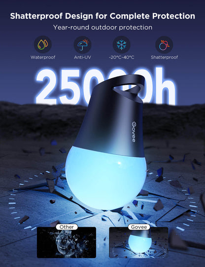 Govee Outdoor String Lights 2