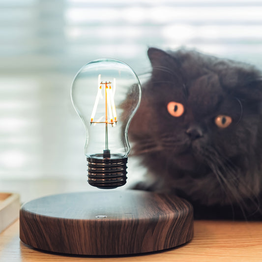 Floating Light Bulb for Living Room Magnetic Levitation Bulb Night Light In Bedroom Cozy Corner Floating Bulb for Thanksgiving Day Christmas Birthday Gift And Home Decor